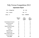 Tidy Towns Report 2012